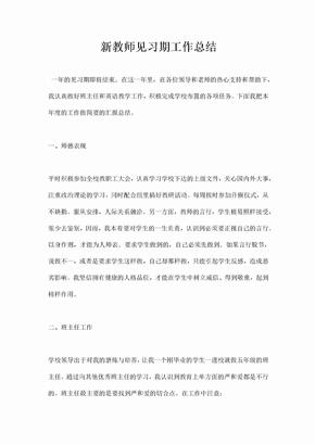 新教师见习期工作总结