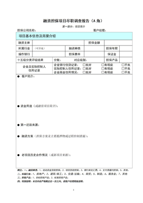 11担保项目尽职调查报告A角