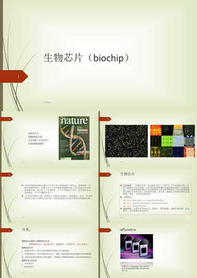 生物芯片biochip报告