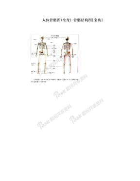 人体骨骼图(全身)-骨骼结构图[宝典]