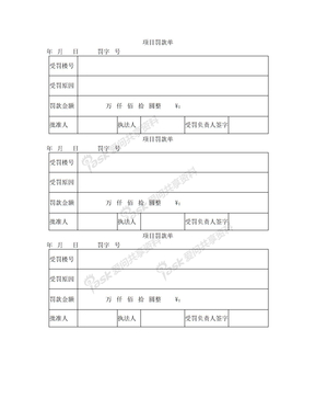 项目罚款单