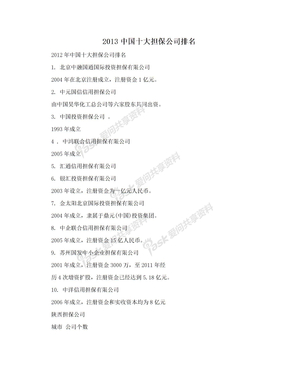 2013中国十大担保公司排名
