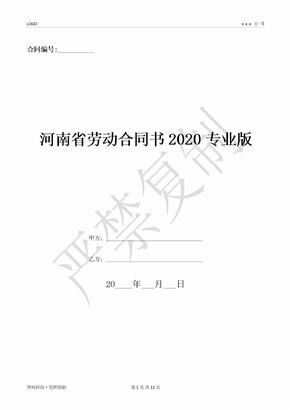 河南省劳动合同书2020专业版-(优质文档)