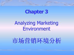 市场营销学——营销环境分析精编版