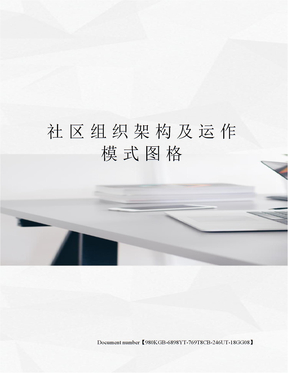 社区组织架构及运作模式图格