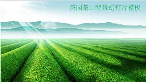 绿色茶山环保主题ppt商务报告模板