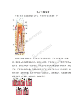 电子小报爱牙