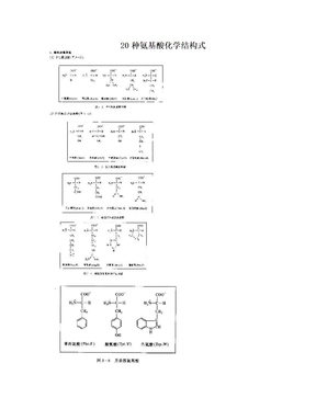 20种氨基酸化学结构式