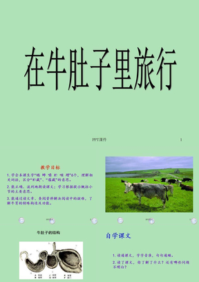 沪教版三年级语文第二学期试用本在牛肚子里旅行