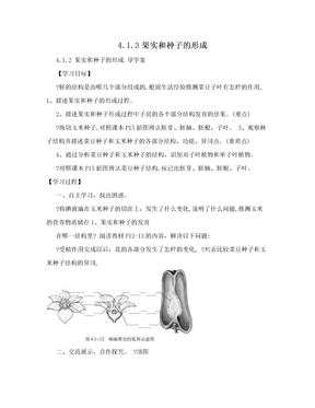 4.1.3果实和种子的形成