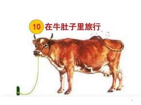 在牛肚子里旅行ppt课件 (2)