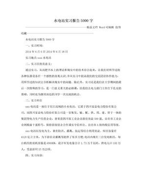 水电站实习报告5000字