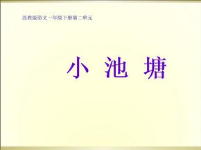 小池塘教学课件