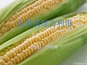 第五节 玉米的综合利用  玉米皮的综合利用