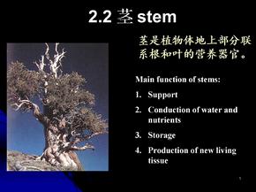 中国海洋大学资料植物生物学ppt课件