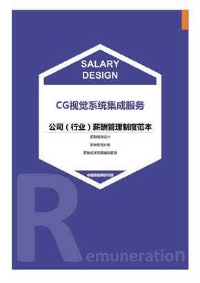 CG视觉系统集成服务公司（行业）薪酬管理制度范本-薪酬设计方案资料文集系列