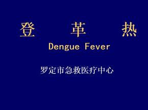 登革热培训课件ppt-登革热
