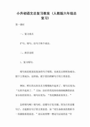 小升初语文总复习教案-(人教版六年级总复习)