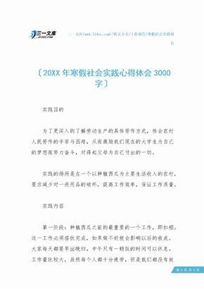 20XX年寒假社会实践心得体会3000字