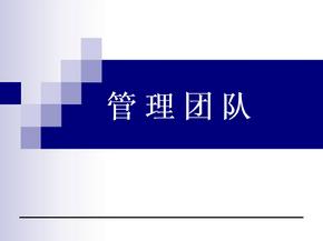 团队建设 管理团队 PPT