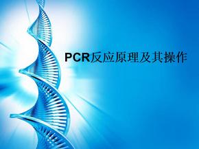 PCR原理及其操作(高中)