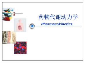 I相II相代谢-PPT教学课件