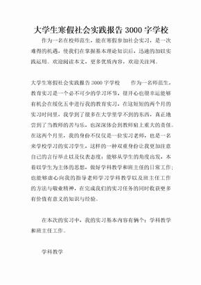 大学生寒假社会实践报告3000字学校