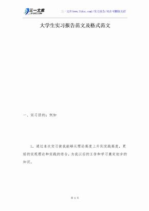 大学生实习报告范文及格式范文