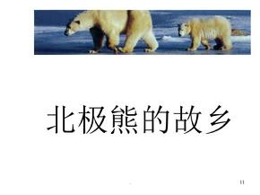 八年级语文北极熊的故乡ppt课件