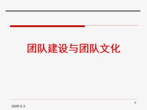 团队建设与团队文化