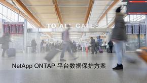 NetApp ONTAP平台数据保护方案