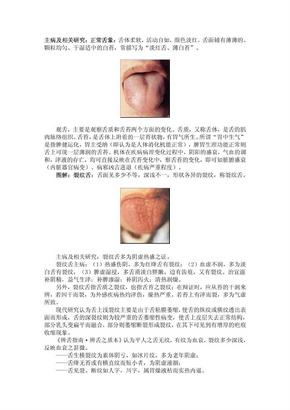 舌诊图解