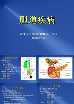 胆道疾病biliary(1)