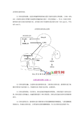 正常胆红素的代谢