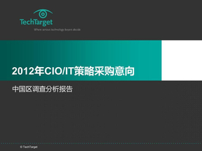 2012年CIO采购分析报告