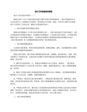 统计工作自查自纠报告