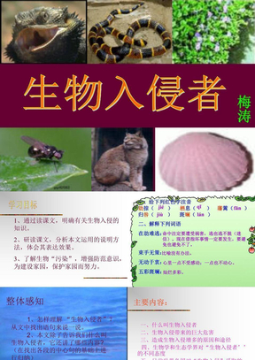 生物入侵者