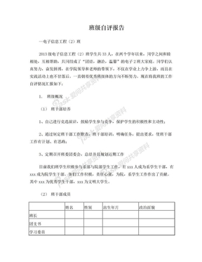 班级自评报告