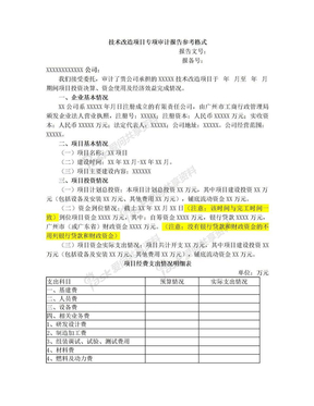 技术改造项目专项审计报告参考格式