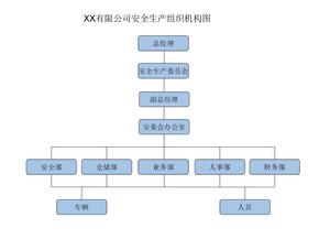 XX运输有限公司安全生产组织机构图