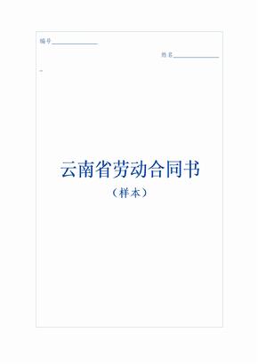 云南省劳动合同书（2008）(DOC 10页)