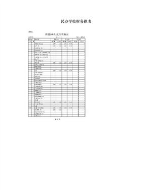 民办学校财务报表