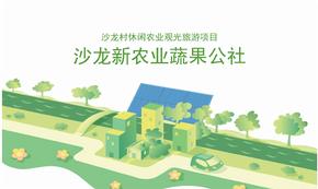 沙龙村休闲农业田园综合体规划项目（79页）