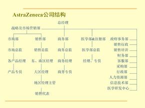 两大制药公司组织架构