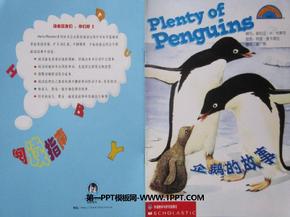 幼儿绘本故事《企鹅的故事》PPT课件