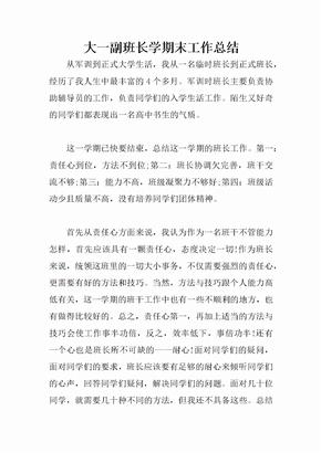 大一副班长学期末工作总结