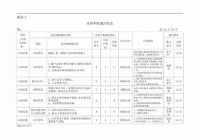 风险和机遇评估表