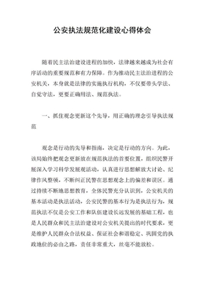 公安执法规范化建设心得体会