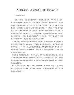 六年级作文小树的成长经历作文600字