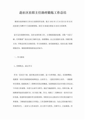 赴社区挂职主任助理锻炼工作总结